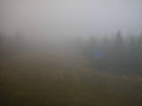 13 : 54