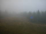 14 : 30