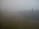14 : 42