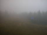 14 : 46