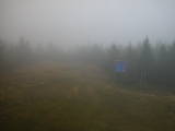 14 : 50