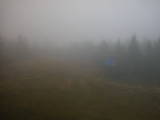 14 : 54