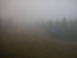 14 : 58