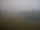 15 : 14