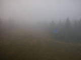 15 : 26