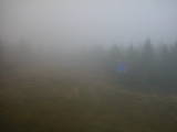 15 : 30