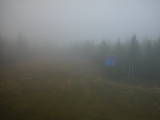 15 : 42