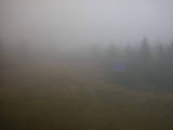16 : 10