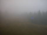 16 : 14