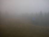 16 : 18