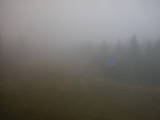 16 : 26