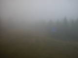 16 : 30