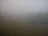 16 : 34