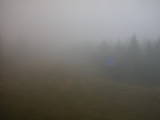 16 : 38