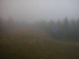 16 : 42