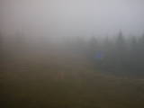 16 : 46