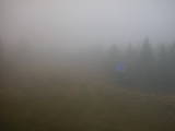 16 : 50