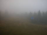 16 : 54