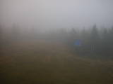 16 : 58