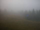 17 : 06