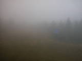 17 : 14