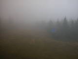 17 : 18