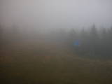 17 : 26