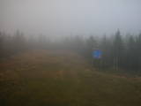 17 : 50
