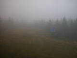 18 : 06