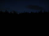 20 : 42
