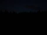 20 : 46