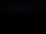 20 : 50