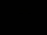 04 : 46