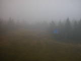 08 : 50
