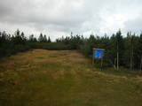 17 : 42