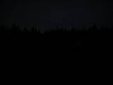 20 : 42
