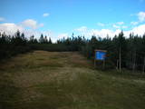 16 : 50