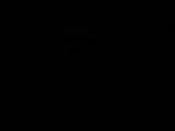 20 : 50