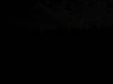 21 : 50