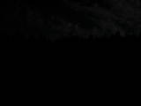 22 : 14
