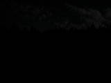 22 : 22