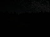 23 : 10