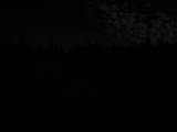23 : 22