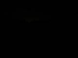 03 : 46