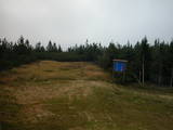 16 : 50