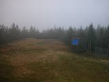 17 : 14