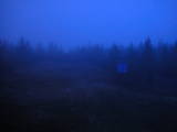 19 : 38