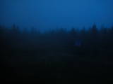 19 : 42