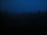 19 : 46