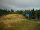 16 : 34